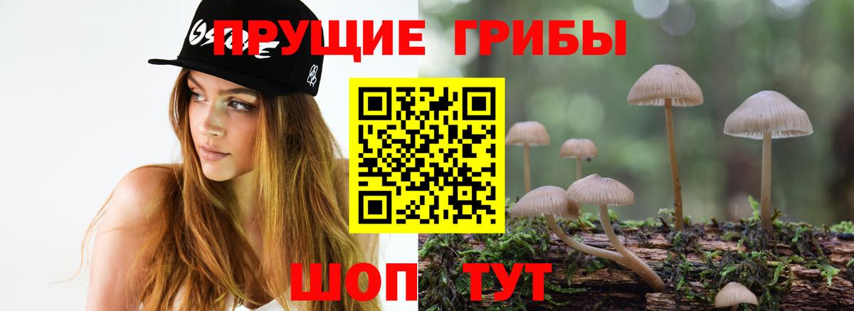 Псилоцибиновые грибы мицелий Заволжье